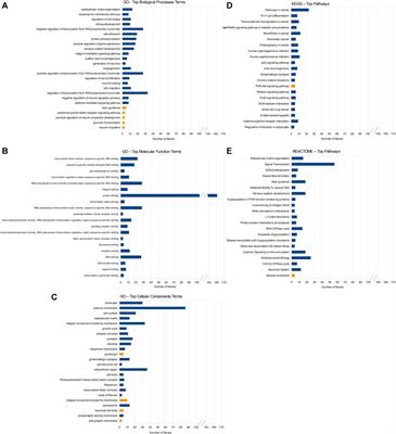 Differentially expressed microRNAs targeting genes in key pathways in keratoconus